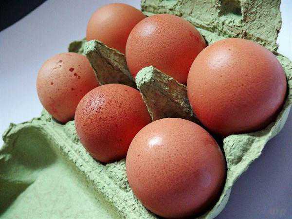 每天一个艾叶煮鸡蛋，坚持一个月后，你可能会发生几个变化！